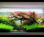 Cách tháo máy bơm nước đơn giản ở nhà Cách tháo máy bơm nước đơn giản ở nhà